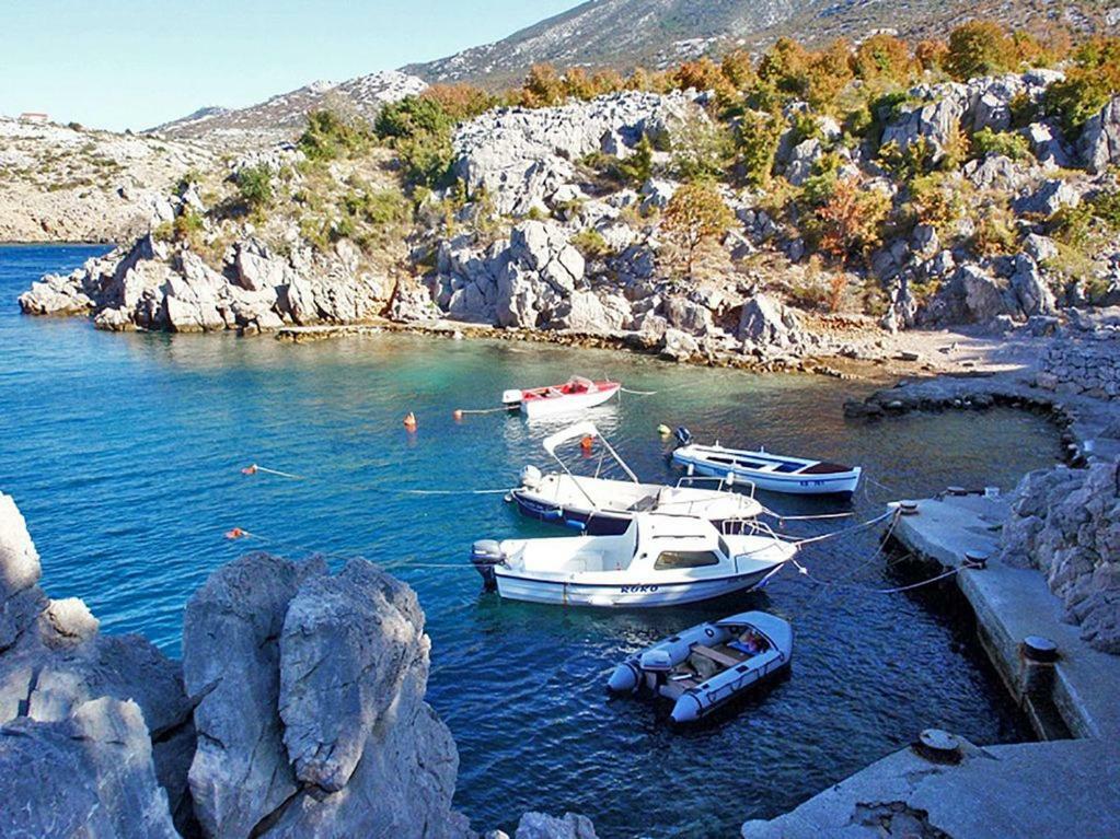 House Petra On The Beach-sea Apartment Cesarica